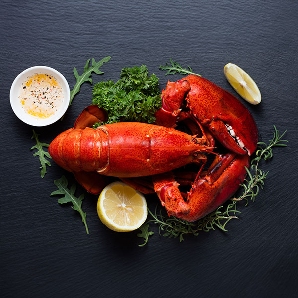 3 lb Live Maine Lobster